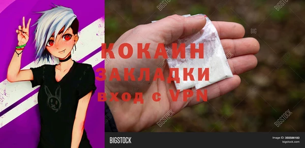твердый Алексин