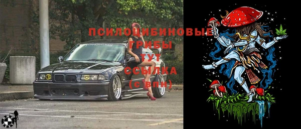 твердый Алексин