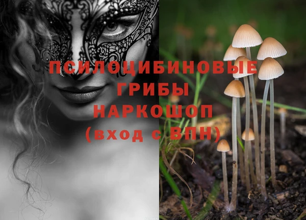 хмурый Алексеевка