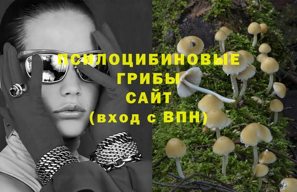 хмурый Алексеевка